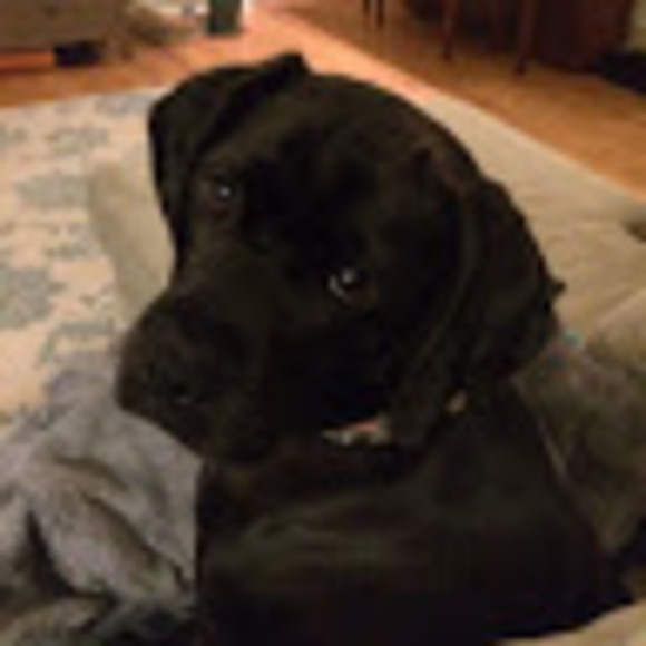 Meet your Posher, Amshula - Picture 1 of 1